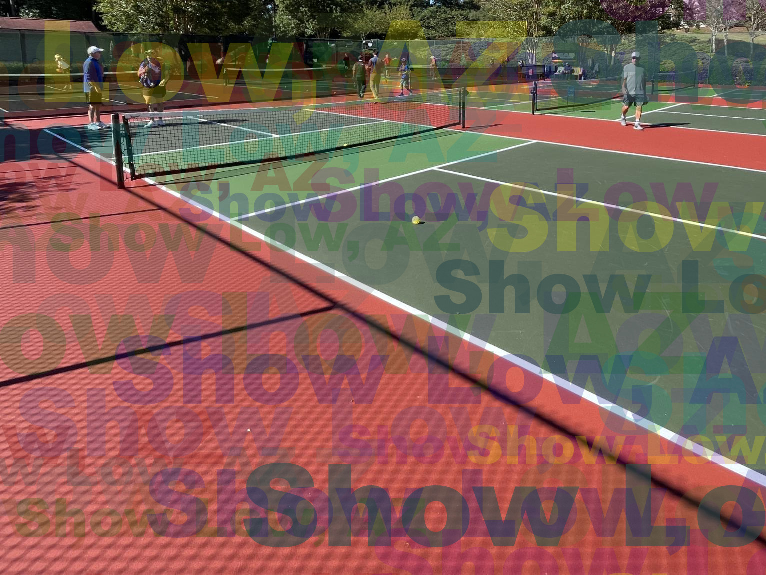 Pickleball in Show Low Arizona